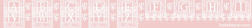 QuanauticaleInitialsNo1 Font – White Fonts on Pink Background