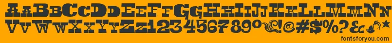 Toeris Font – Black Fonts on Orange Background