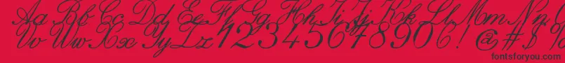 Fonte ZaiItalichandcalligraphy – fontes pretas em um fundo vermelho