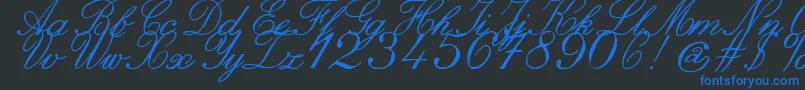 Czcionka ZaiItalichandcalligraphy – niebieskie czcionki na czarnym tle