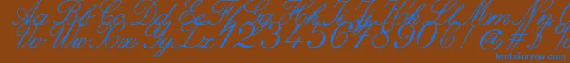 Fonte ZaiItalichandcalligraphy – fontes azuis em um fundo marrom