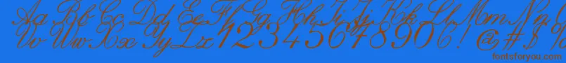 Police ZaiItalichandcalligraphy – polices brunes sur fond bleu