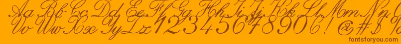 ZaiItalichandcalligraphy Font – Brown Fonts on Orange Background