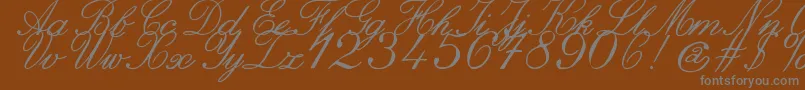 ZaiItalichandcalligraphy Font – Gray Fonts on Brown Background