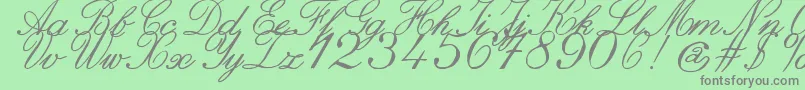 ZaiItalichandcalligraphy Font – Gray Fonts on Green Background