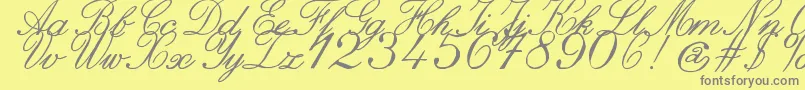 fuente ZaiItalichandcalligraphy – Fuentes Grises Sobre Fondo Amarillo