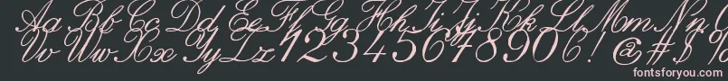 ZaiItalichandcalligraphy Font – Pink Fonts on Black Background