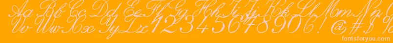 Police ZaiItalichandcalligraphy – polices roses sur fond orange
