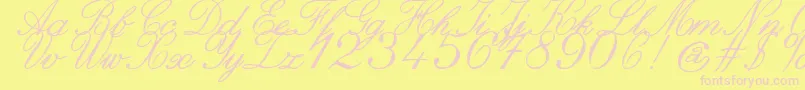 ZaiItalichandcalligraphy Font – Pink Fonts on Yellow Background