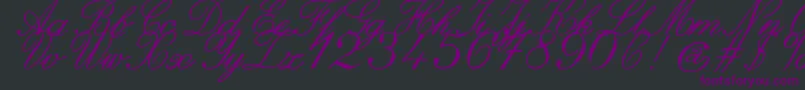 Fonte ZaiItalichandcalligraphy – fontes roxas em um fundo preto