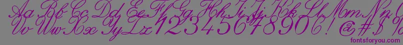 ZaiItalichandcalligraphy Font – Purple Fonts on Gray Background