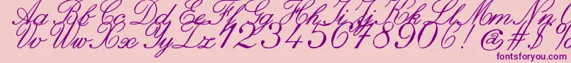 Police ZaiItalichandcalligraphy – polices violettes sur fond rose