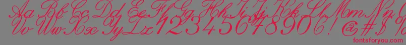 ZaiItalichandcalligraphy Font – Red Fonts on Gray Background
