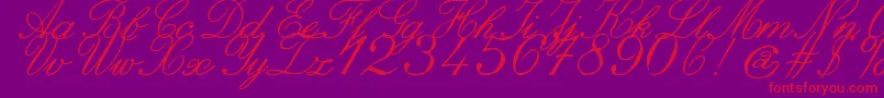 ZaiItalichandcalligraphy-Schriftart – Rote Schriften auf violettem Hintergrund