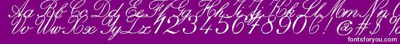 Fonte ZaiItalichandcalligraphy – fontes brancas em um fundo violeta