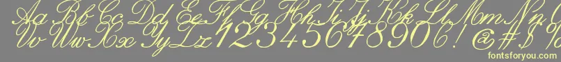 ZaiItalichandcalligraphy-fontti – keltaiset fontit harmaalla taustalla