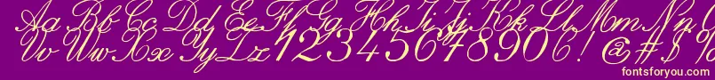 ZaiItalichandcalligraphy Font – Yellow Fonts on Purple Background