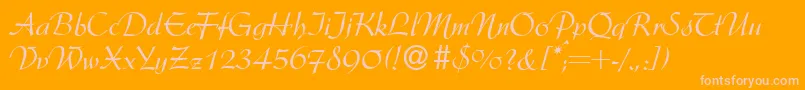 ArgentineRegular Font – Pink Fonts on Orange Background