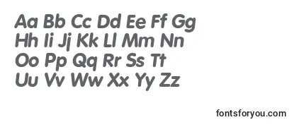 Review of the VolkswagenserialXboldItalic Font