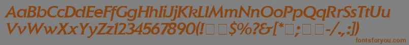 Шрифт ElanMediumitalic – коричневые шрифты на сером фоне