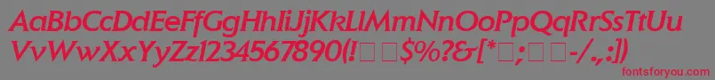 フォントElanMediumitalic – 赤い文字の灰色の背景