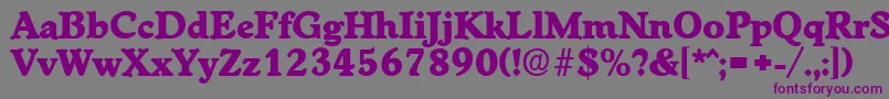 WorchesterExtrabold-Schriftart – Violette Schriften auf grauem Hintergrund