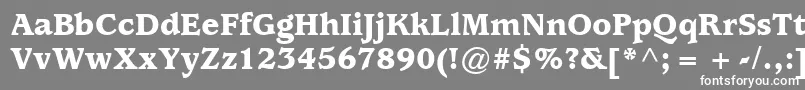 フォントExpositionBlackSsiBlack – 灰色の背景に白い文字