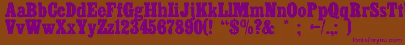 Cairo Font – Purple Fonts on Brown Background