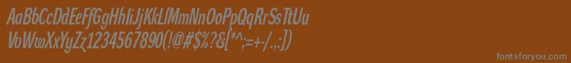 フォントDynagroteskdxcItalic – 茶色の背景に灰色の文字