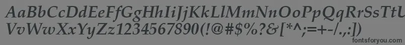 PalatinoCeBoldItalic Font – Black Fonts on Gray Background