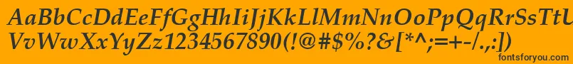 PalatinoCeBoldItalic Font – Black Fonts on Orange Background