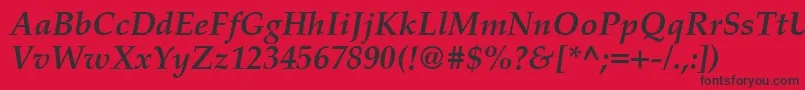 PalatinoCeBoldItalic Font – Black Fonts on Red Background