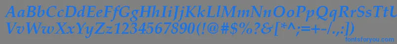 PalatinoCeBoldItalic Font – Blue Fonts on Gray Background