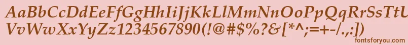 PalatinoCeBoldItalic Font – Brown Fonts on Pink Background