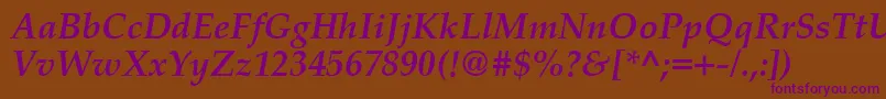 PalatinoCeBoldItalic Font – Purple Fonts on Brown Background