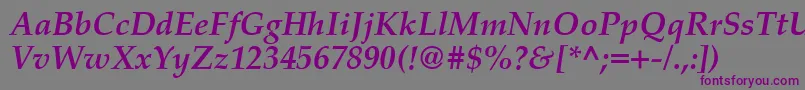 PalatinoCeBoldItalic-Schriftart – Violette Schriften auf grauem Hintergrund