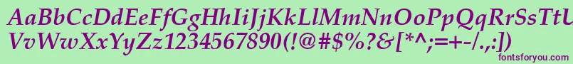 PalatinoCeBoldItalic Font – Purple Fonts on Green Background