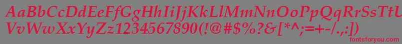 PalatinoCeBoldItalic-Schriftart – Rote Schriften auf grauem Hintergrund