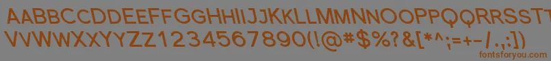 SfflorencesansscrevBoldita Font – Brown Fonts on Gray Background