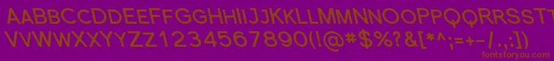 SfflorencesansscrevBoldita Font – Brown Fonts on Purple Background