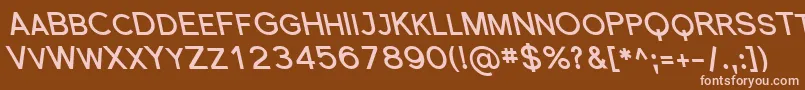 SfflorencesansscrevBoldita Font – Pink Fonts on Brown Background