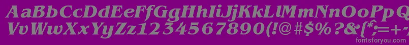 BenjaminserifBolditalic-Schriftart – Graue Schriften auf violettem Hintergrund