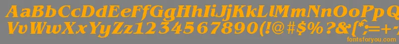 BenjaminserifBolditalic Font – Orange Fonts on Gray Background