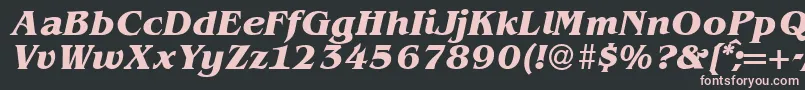 BenjaminserifBolditalic Font – Pink Fonts on Black Background