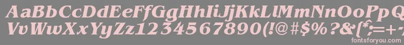 BenjaminserifBolditalic Font – Pink Fonts on Gray Background
