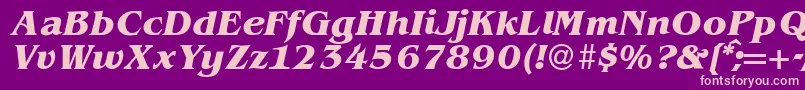 BenjaminserifBolditalic Font – Pink Fonts on Purple Background