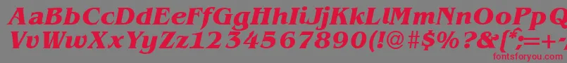 BenjaminserifBolditalic-fontti – punaiset fontit harmaalla taustalla