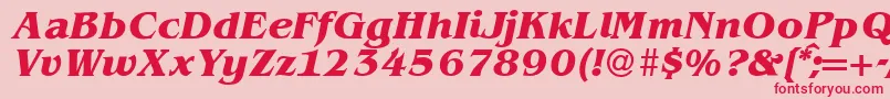 BenjaminserifBolditalic Font – Red Fonts on Pink Background