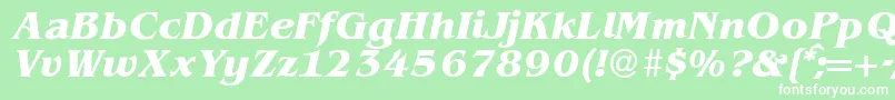 BenjaminserifBolditalic Font – White Fonts on Green Background