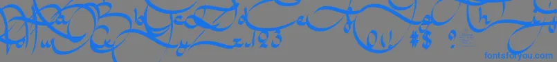 フォントAmalScriptBold – 灰色の背景に青い文字